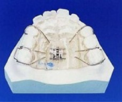 子供に使用する装置の画像1