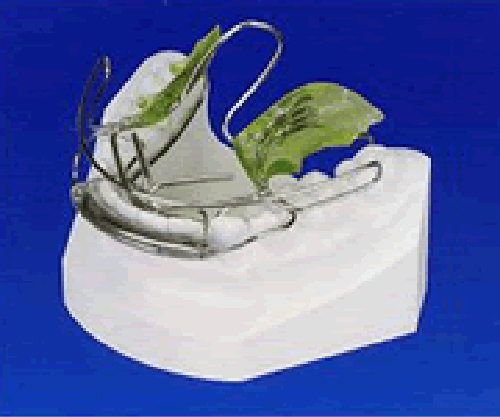 子供に使用する装置の画像2